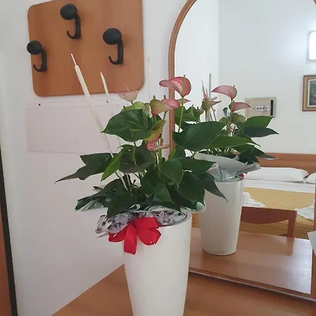 Hotel Venezia San Mauro Mare 3* San Mauro Mare