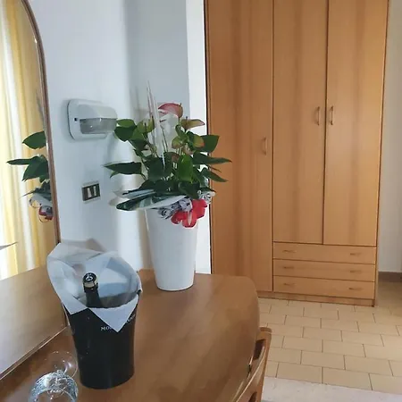 Отель Hotel Venezia San Mauro Mare 3*